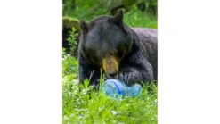 BearVault Trek Bear Resistant Food Canister -Snow Peak Shop opplanet bearvault trek bear resistant food canister transparent blue 2 5 gal bv475 av 4